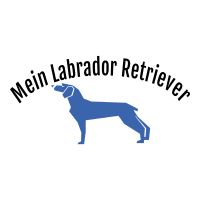 Der Mein Labrador Retriever ist die ultimative Ressource, um alles über Ihren neuen Hund zu erfahren oder Informationen zu erhalten, wenn es darum geht, den richtigen zu finden.