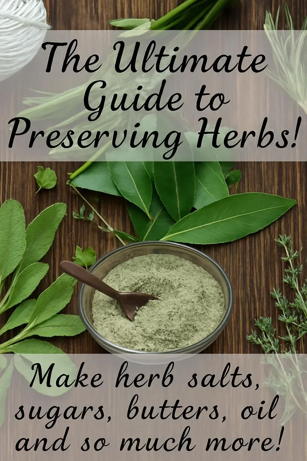 Freshly preserved herbs in jars for long-lasting flavor and quality